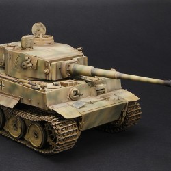 Tiger_Afrika_001i