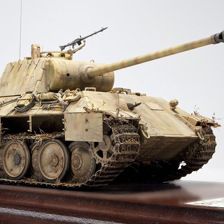 Panther_010i