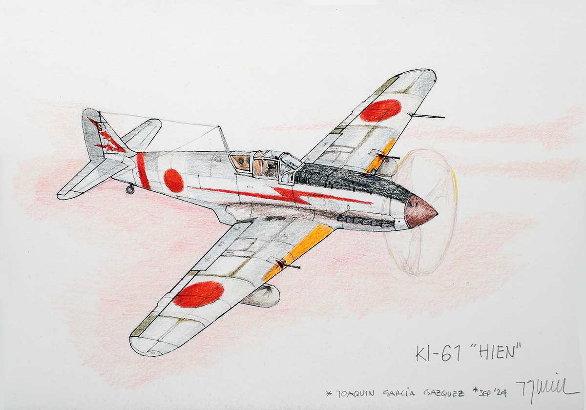 Color Drawing: Ki-61 «Hien» (Tony)